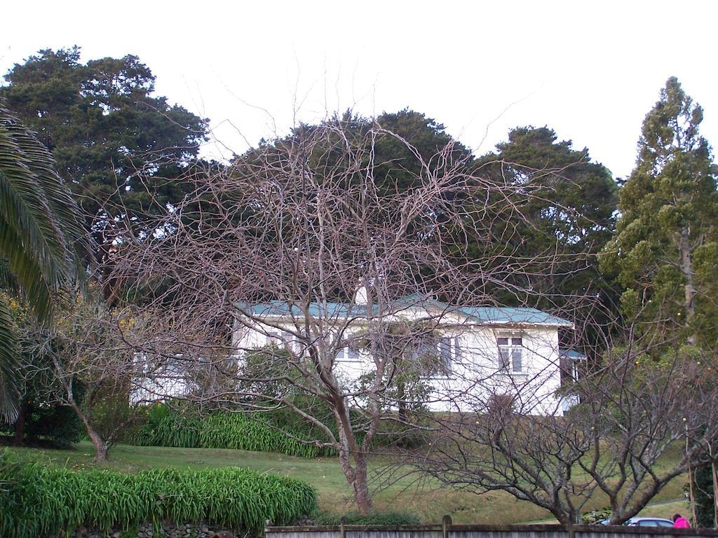 Kauri Nest Bed & Breakfast Whangarei Exterior photo