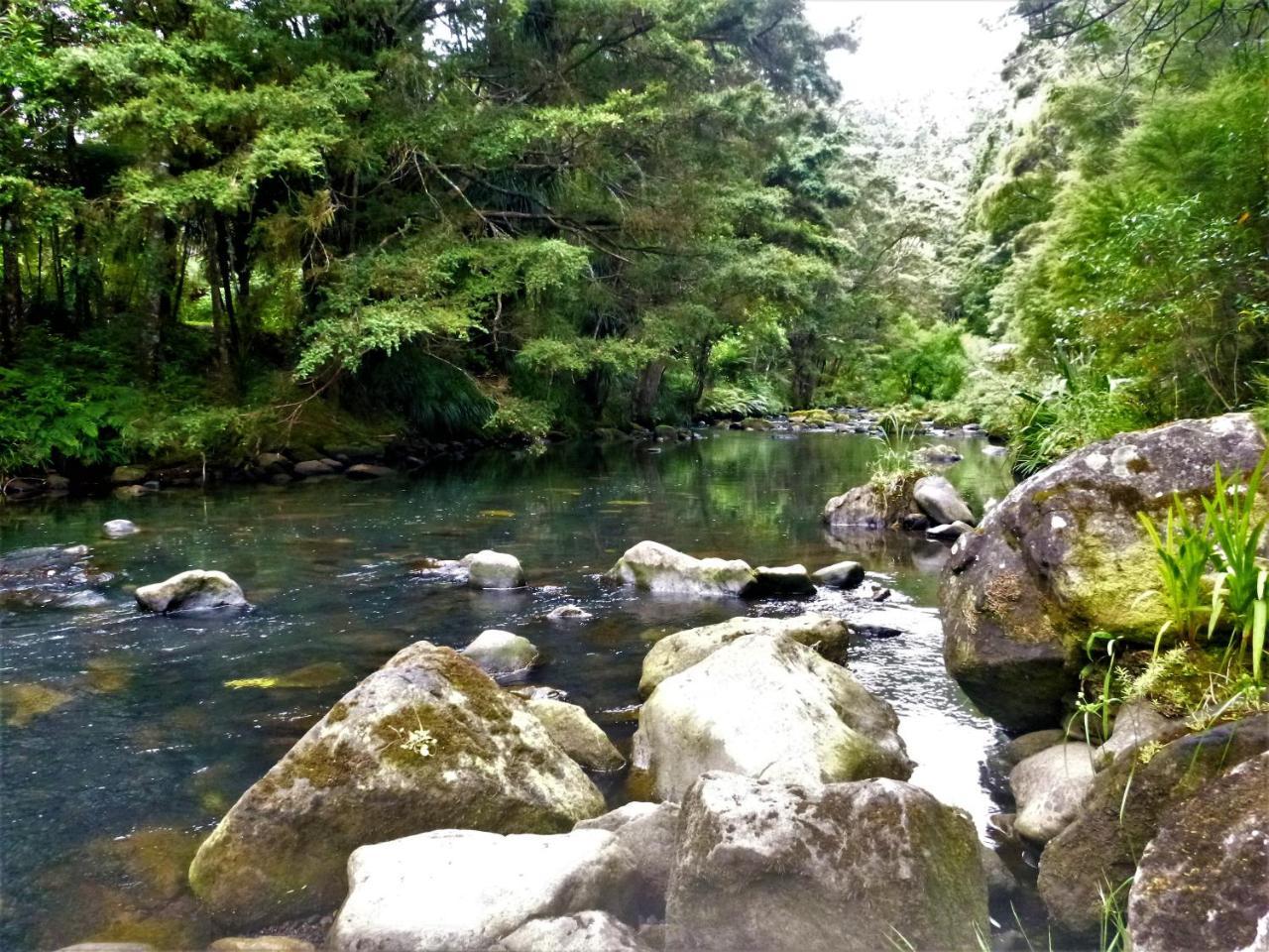 Kauri Nest Bed & Breakfast Whangarei Exterior photo
