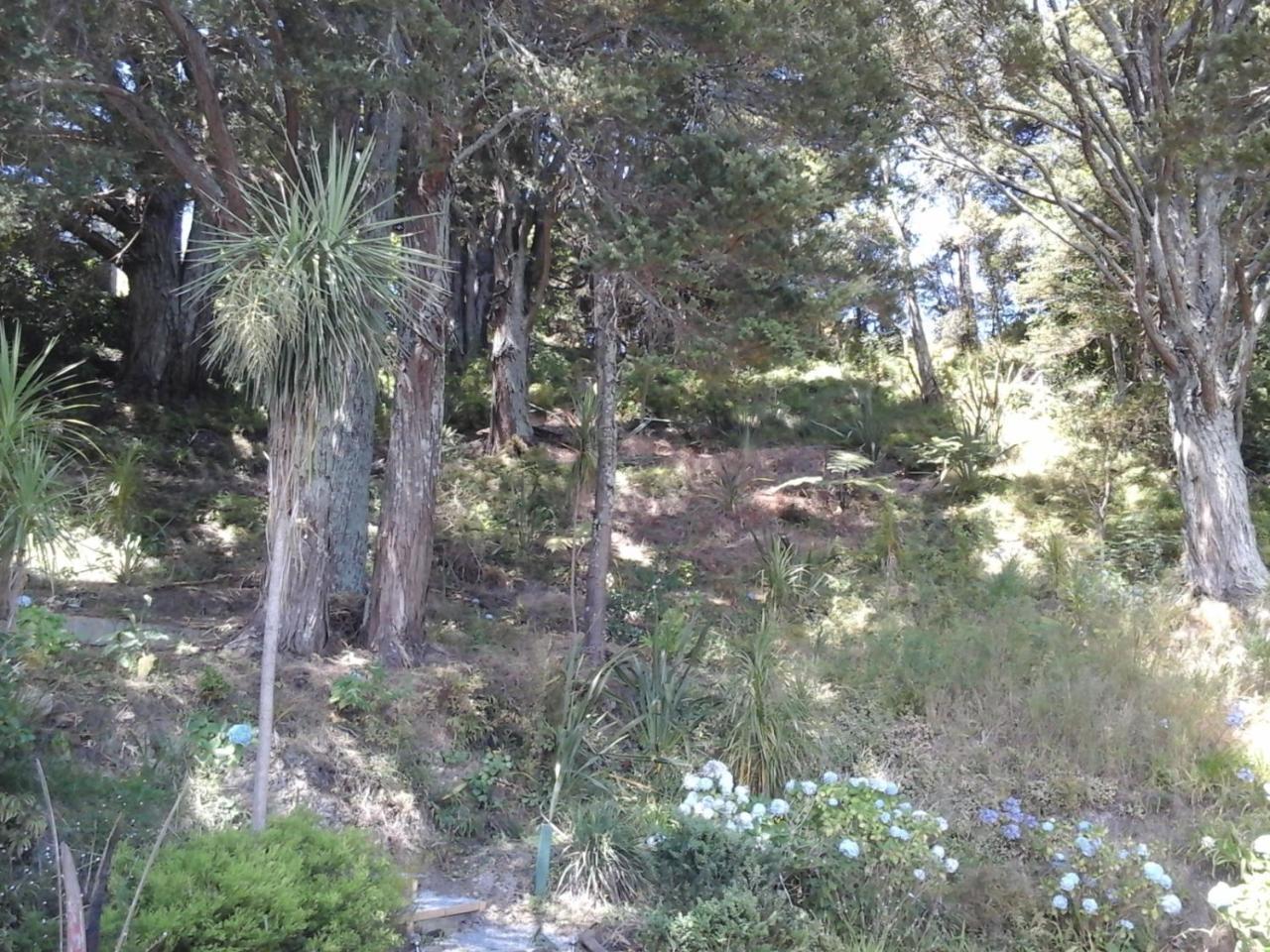 Kauri Nest Bed & Breakfast Whangarei Exterior photo